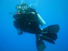 ap_20070918053536377[1].jpg
